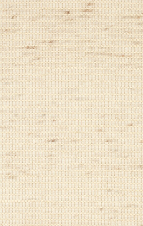 Ctytim-1461